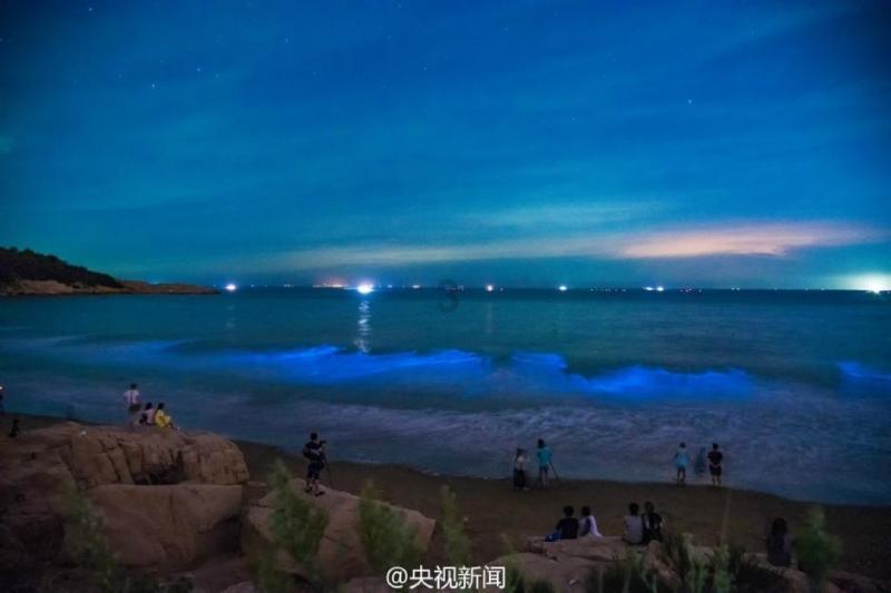 冰城公安倾心相助 让寒夜里的守护温暖加倍