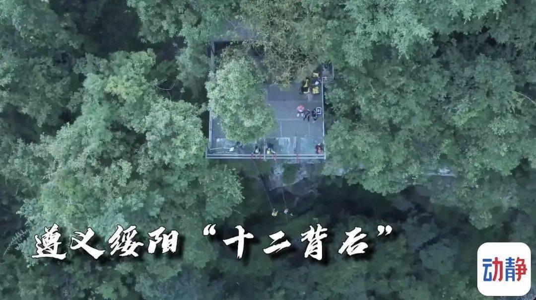 沪江开心词场